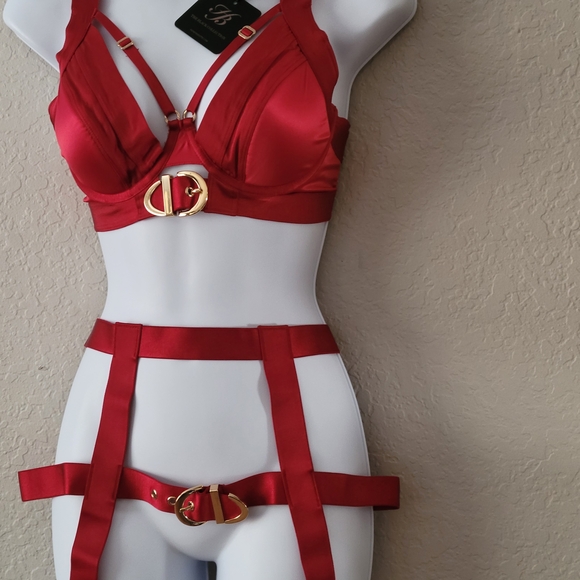 Honey Birdette Red Bra with Gold Accents - Picture 3 of 10